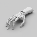 Articulated Skeleton Hand